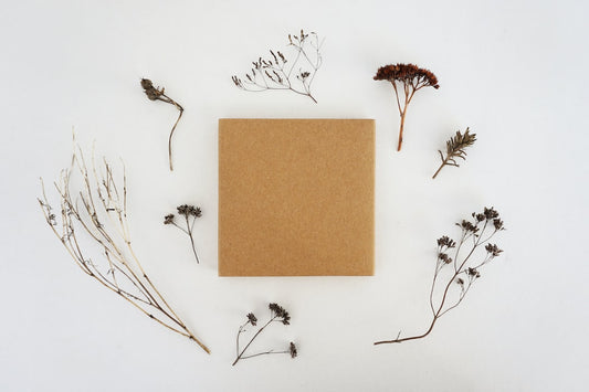 February Happenings