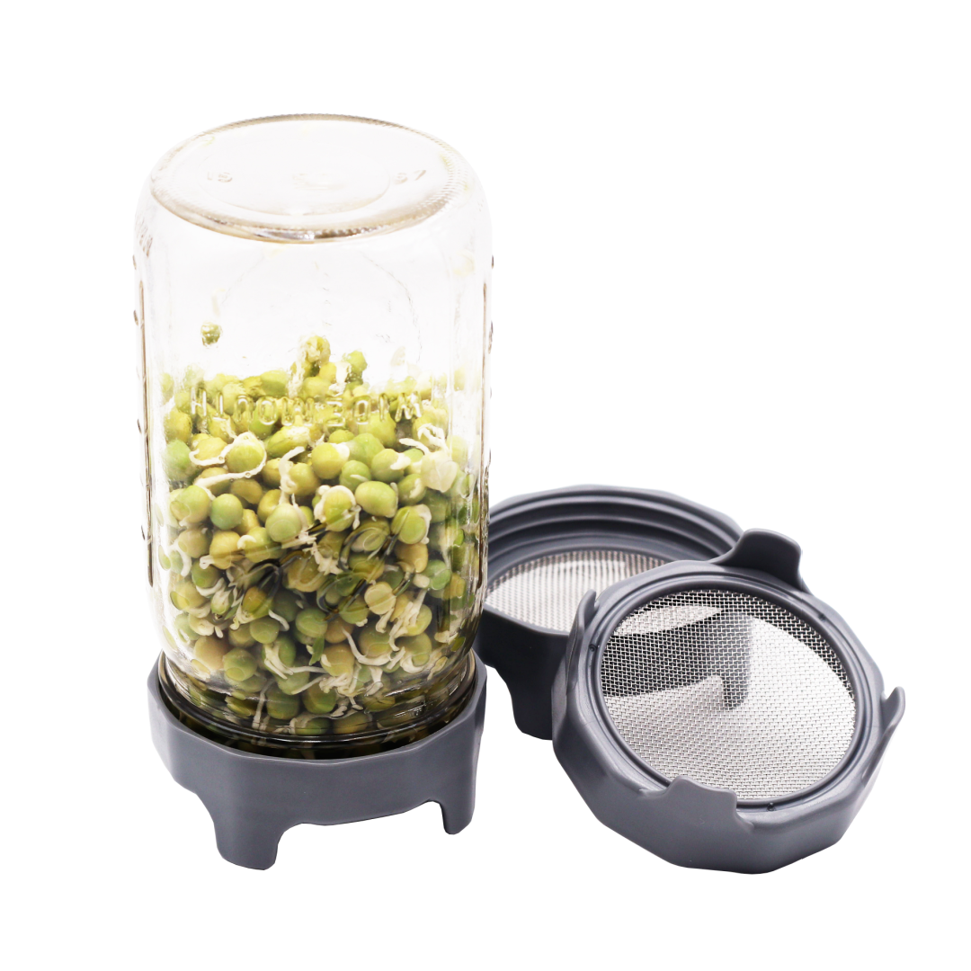 Sprouting Lid with Built-In Stand for Wide Mouth, Rust Proof
