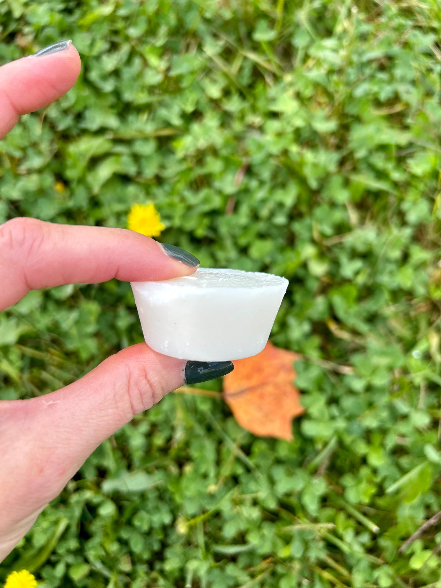 Vegan Deodorant Pucks