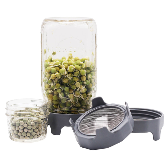 Sprouting Lid with Built-In Stand for Wide Mouth, Rust Proof