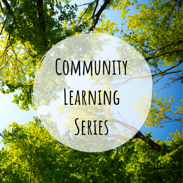 Community Learning Session: Sound Bath & Tea Sampling