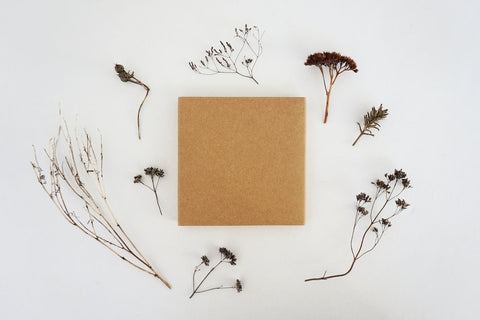 February Happenings