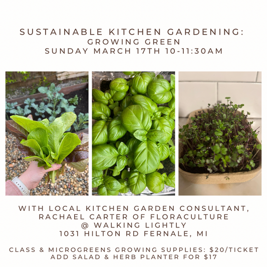 Community Learning Session: Sustainable Kitchen Gardening