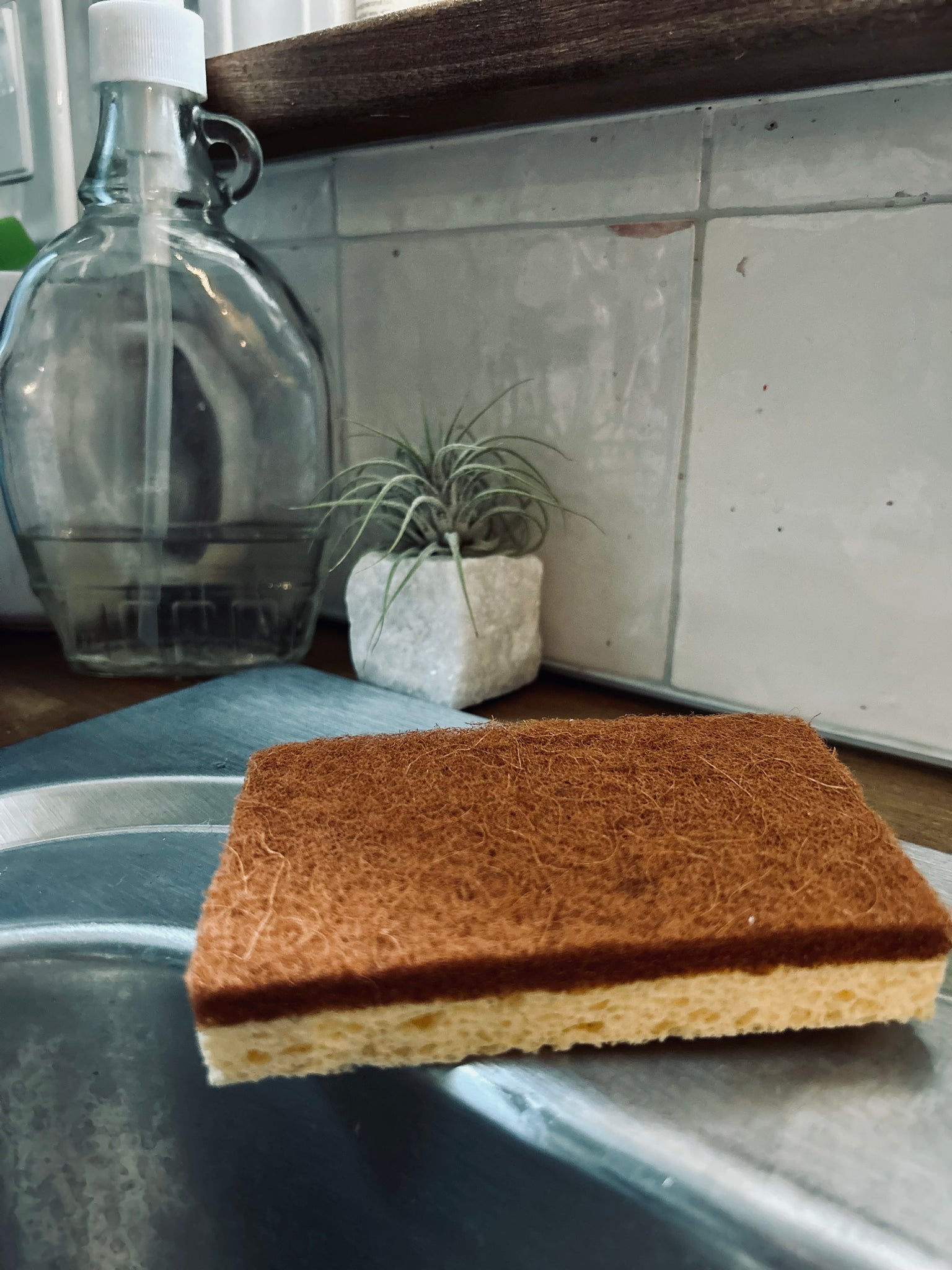 Cellulose & Coconut Sponge