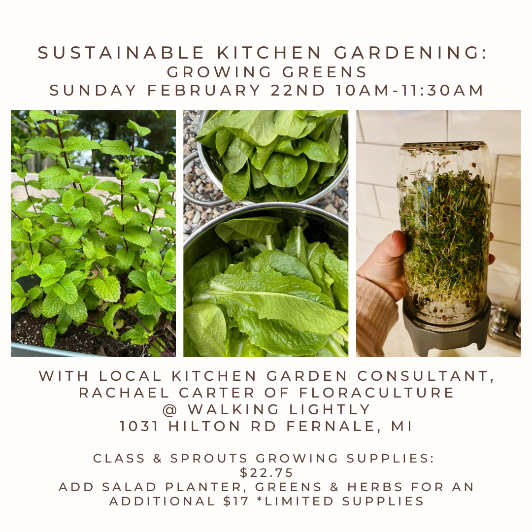 Community Learning Session: Sustainable Kitchen Gardening