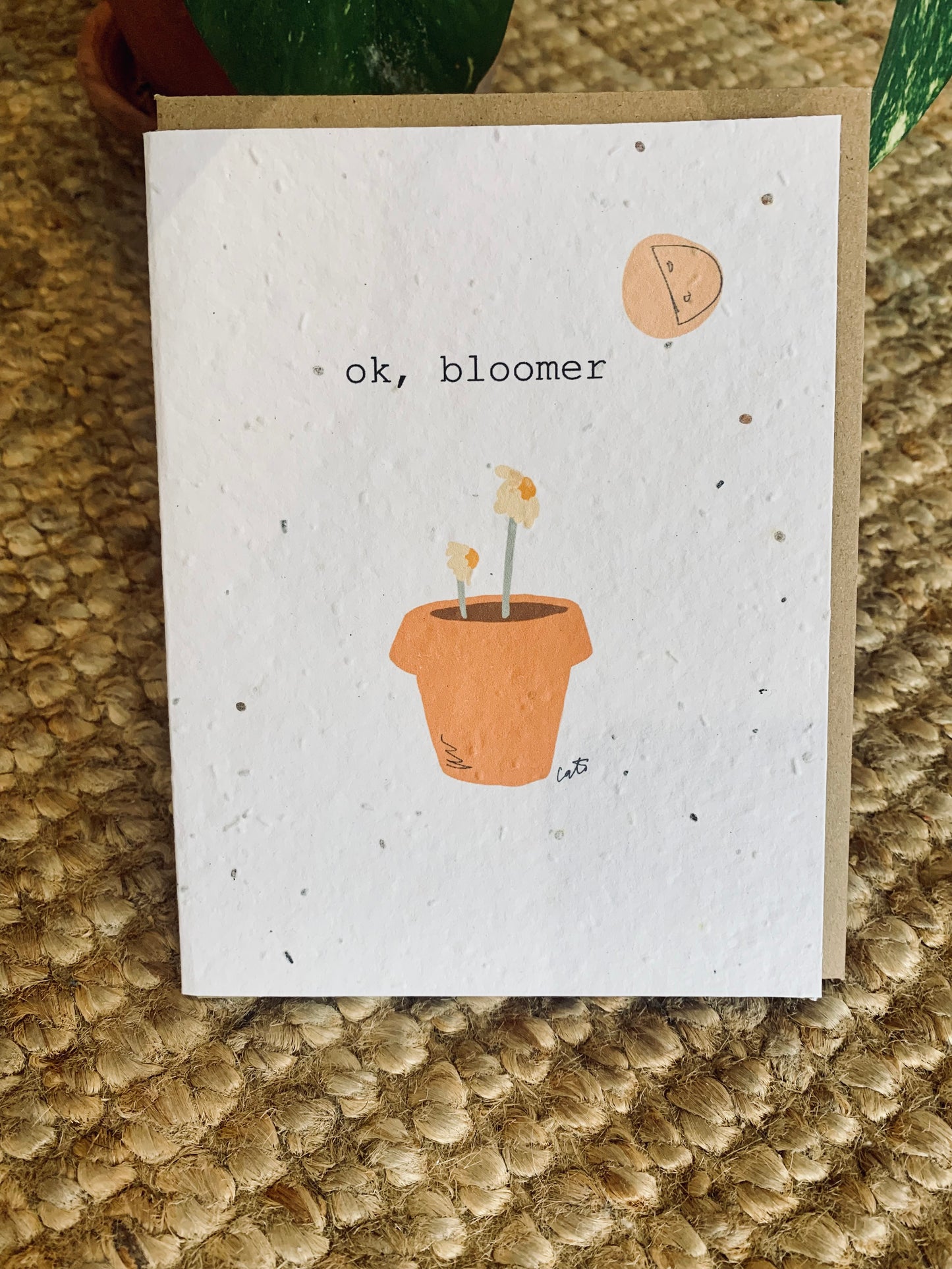Plantable Greeting Cards