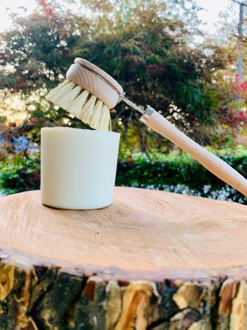 Dish Soap Bar