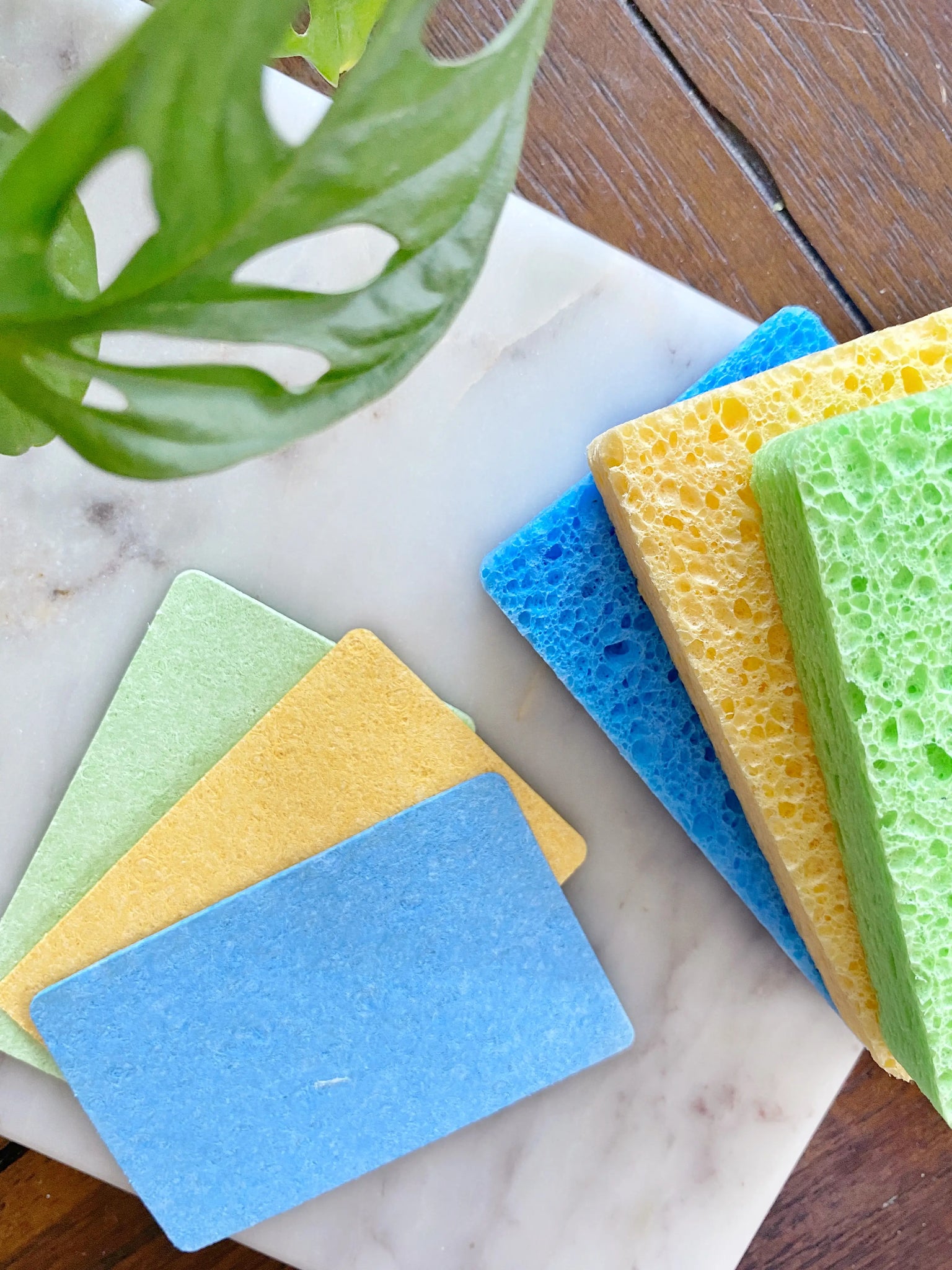 Pop Up Sponges